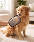 Une main gantée caressant le flanc d'un golden retriever, les poils accrochés sur la face grise en velours ras