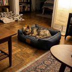 Le panier en usage réel, un petit chien endormi dedans dans un salon le soir